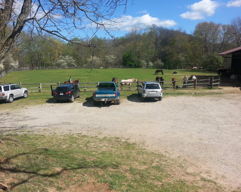 Parent-Led Horse Ring Ride in Cullowhee