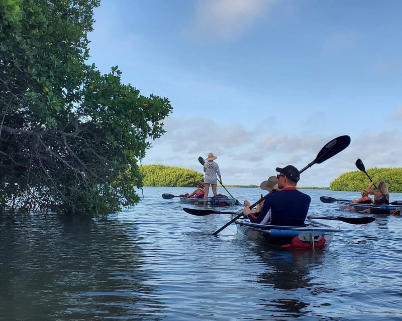 Clear Kayak Guided Tour of Shell Key Preserve