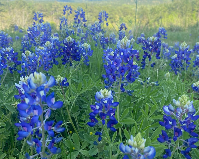 All-Day Hiking & Photo Pass in LaRue