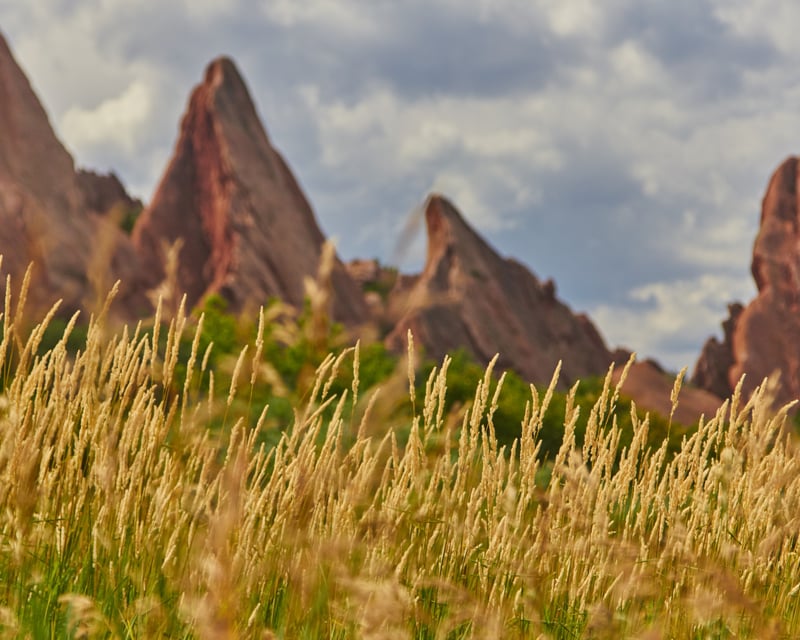 Explore Denver Sandstone Trails on a Couples Nature Tour