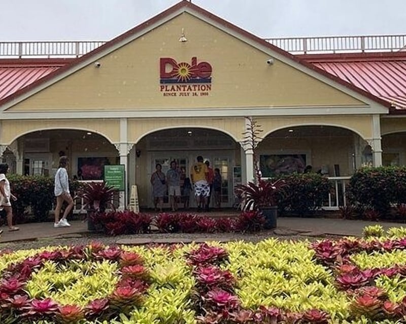 Oahu Dole Plantation & North Shore Tour
