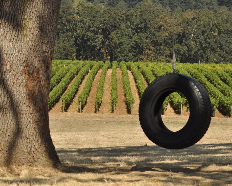 Shared Full-Day Willamette Valley Wine Tour