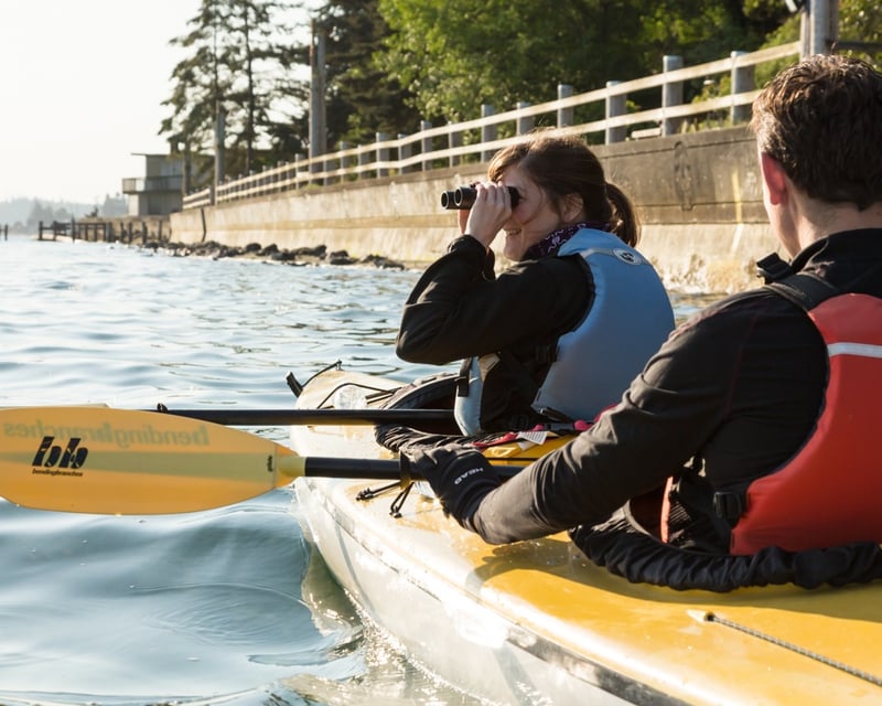 Private Guided Kayak Tour in Langley