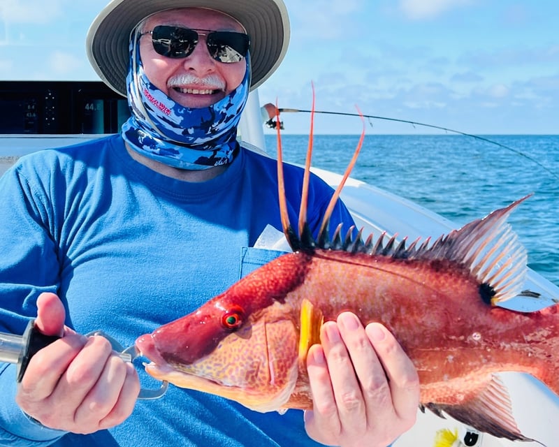 Hogfish Fishing Charter in Crystal River