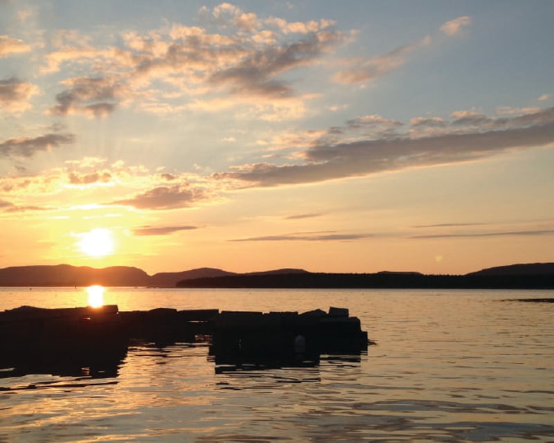 Sunset Cruise in Northeast Harbor