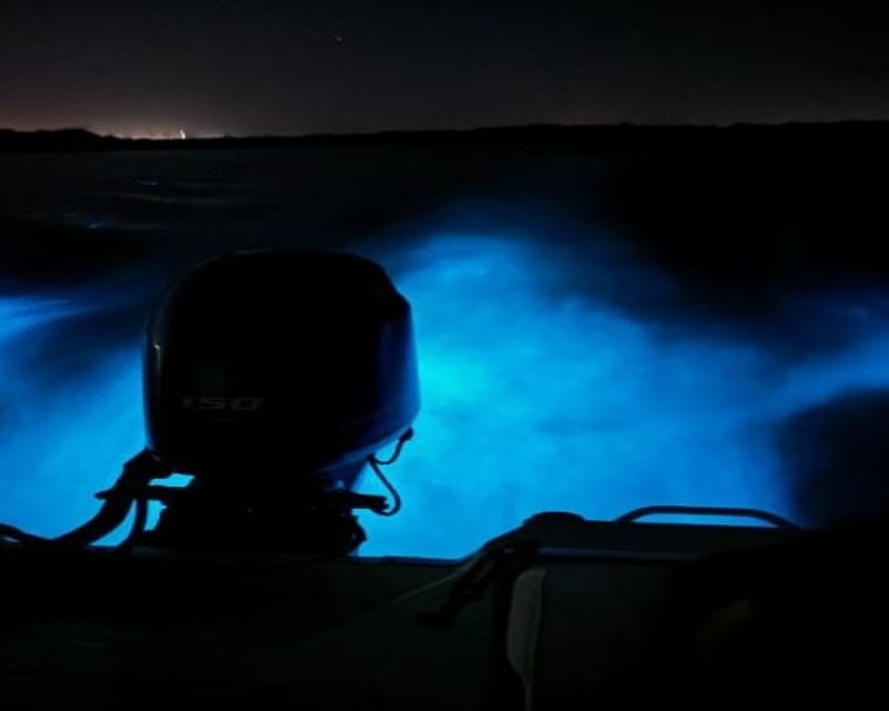 Night Bioluminescence Boat Tour in Cocoa Beach