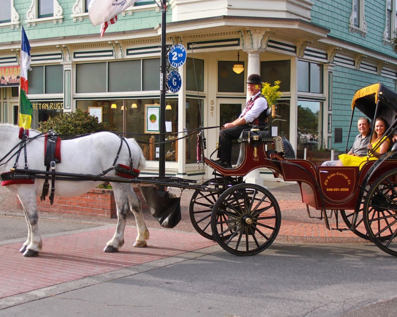 Private Historic Carriage Ride in Eureka