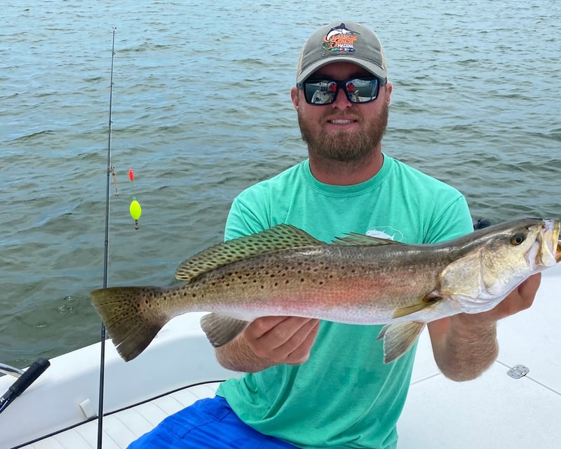 4-Hour Inshore Fishing Charter Orange Beach