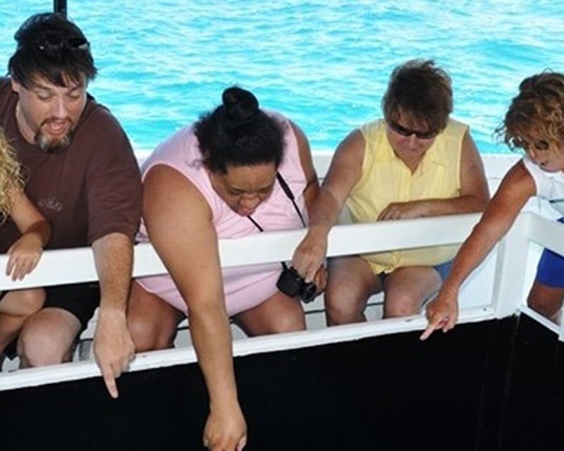 30-Minute Glass Bottom Boat Cruise in Waikoloa