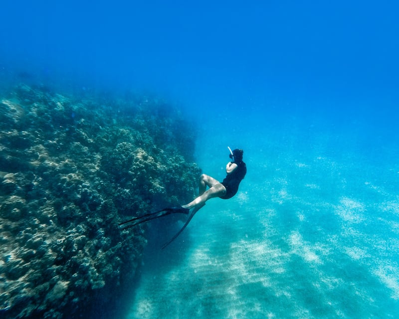 Private Snorkeling Charter on Hawaii's Big Island