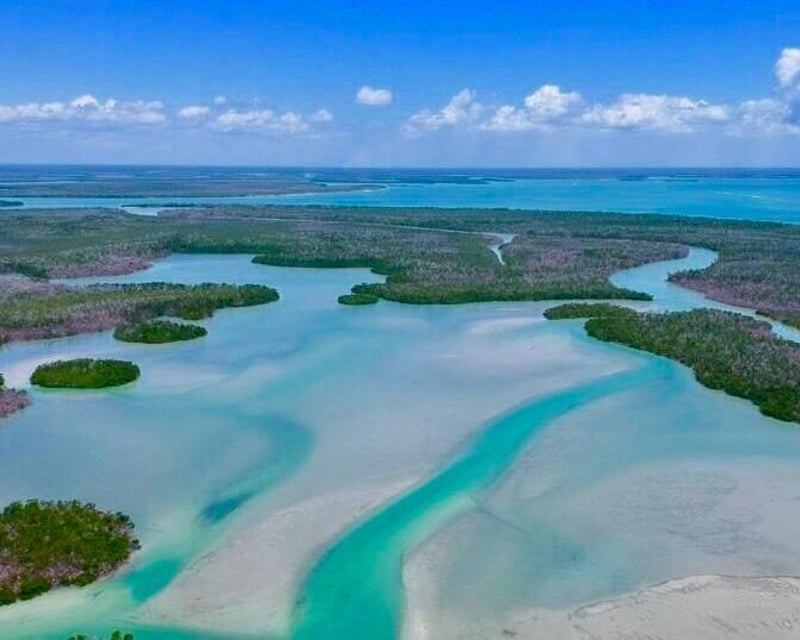 Dolphin & Shelling Tour in Ten Thousand Islands
