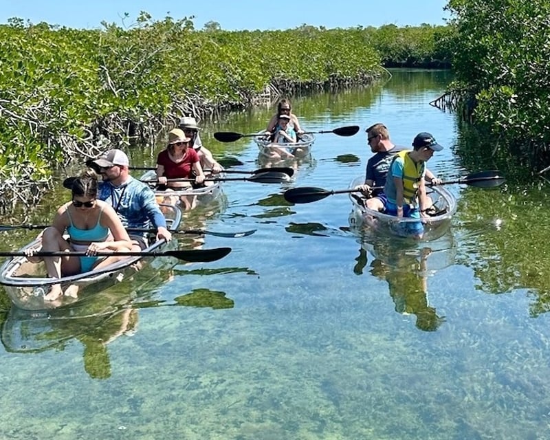 Clear Kayak Mangrove Tour in Sugarloaf Key Near Key West