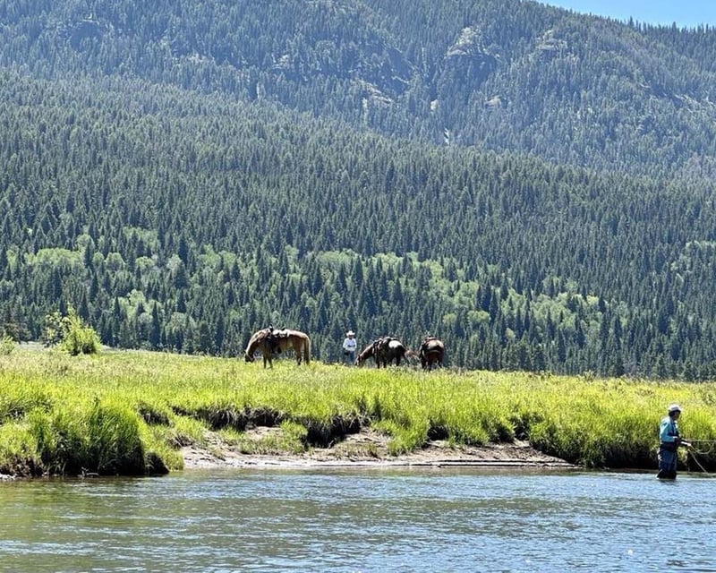 Horseback Fly Fishing Day Trip in Yellowstone National Park