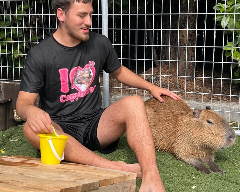 Capybara Encounter in Tacoma