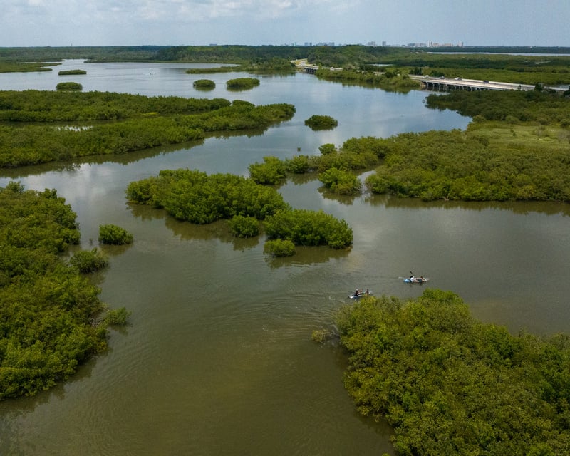 Private Clear Kayak Tour in New Smyrna Beach
