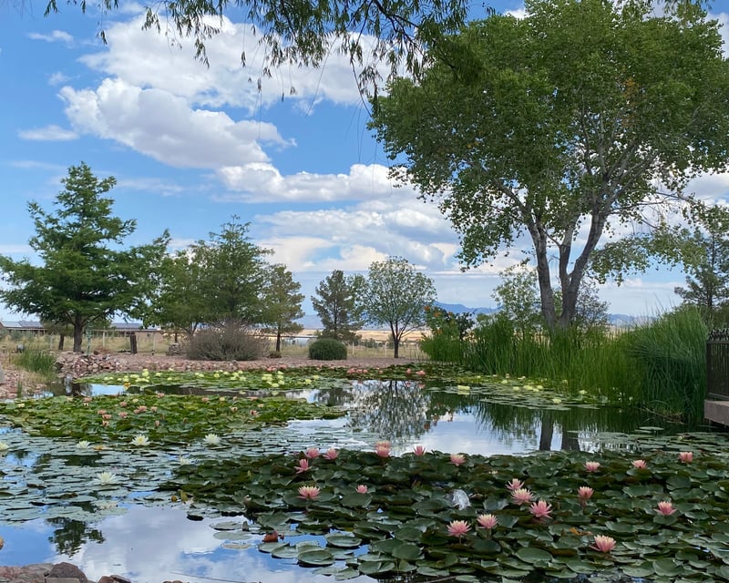 3-Vineyard Southern Arizona Wine Country Tasting Tour