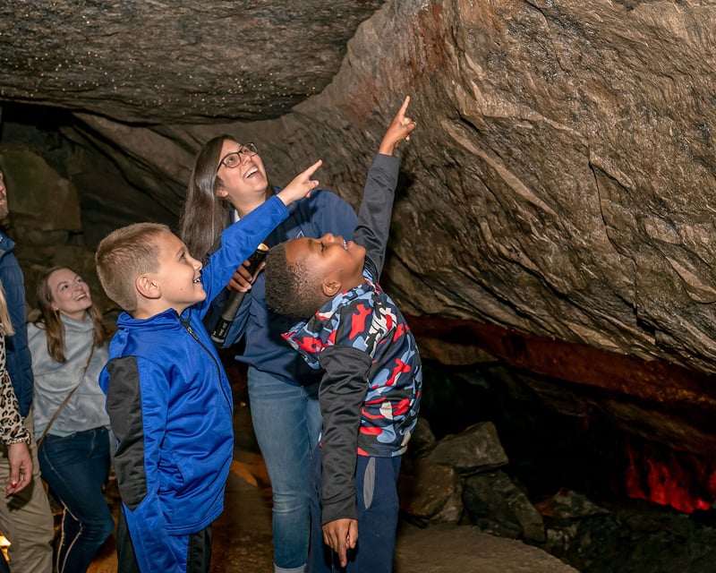 1-Hour Guided Cave Tour in Bellevue