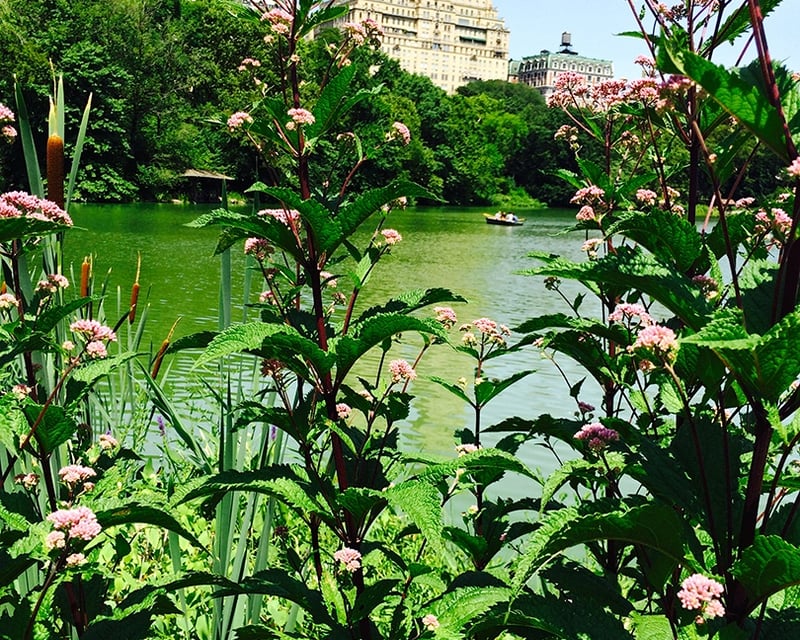 Private 2-Hour Uptown & Harlem Guided Tour