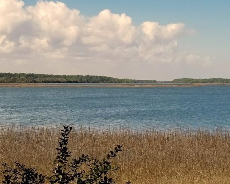 2-Hour Pinckney Island Wildlife Refuge Guided Tour