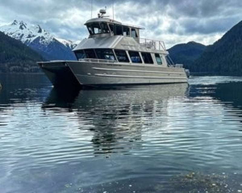 Cruise Sitka Sound on a 1.5-Hour Wildlife Tour