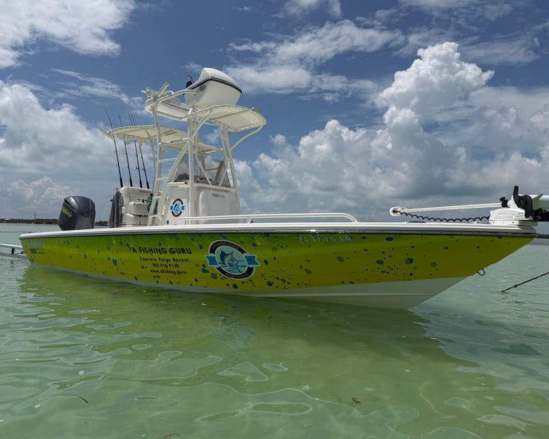 4-Hour Inshore Fishing Charter in Islamorada