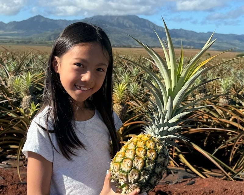 Dole Pineapple Farm & Coffee Tour on Oahu's North Shore