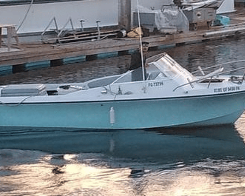 Guided 6-Hour Fishing Charter in San Diego