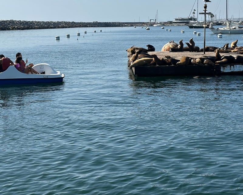 Harbor Pedal Boat Rental in Redondo Beach