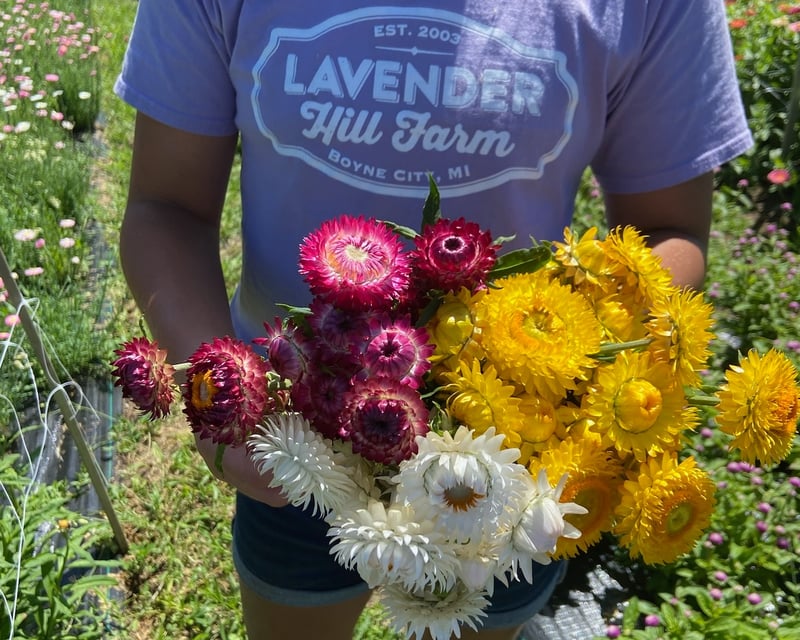 Seasonal Flower Cutting Workshop in Boyne City