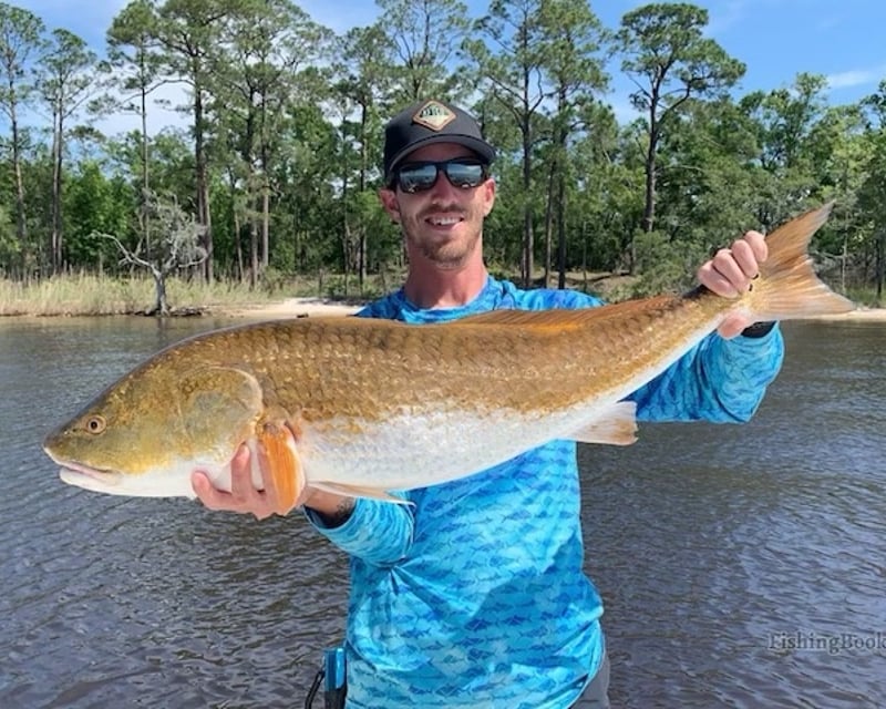 Private Inshore Fishing Charter in Orange Beach