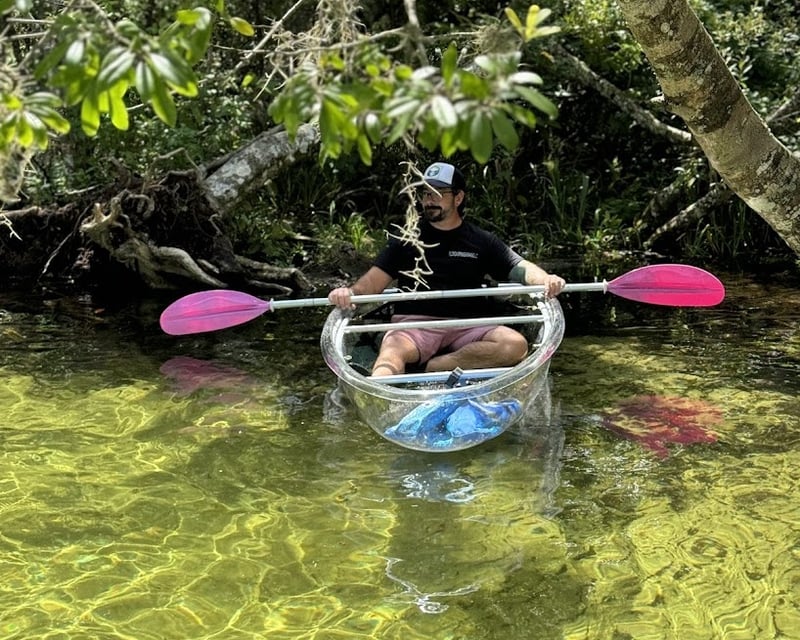 Clear Kayak Rental in Rainbow Springs (3-Hour)