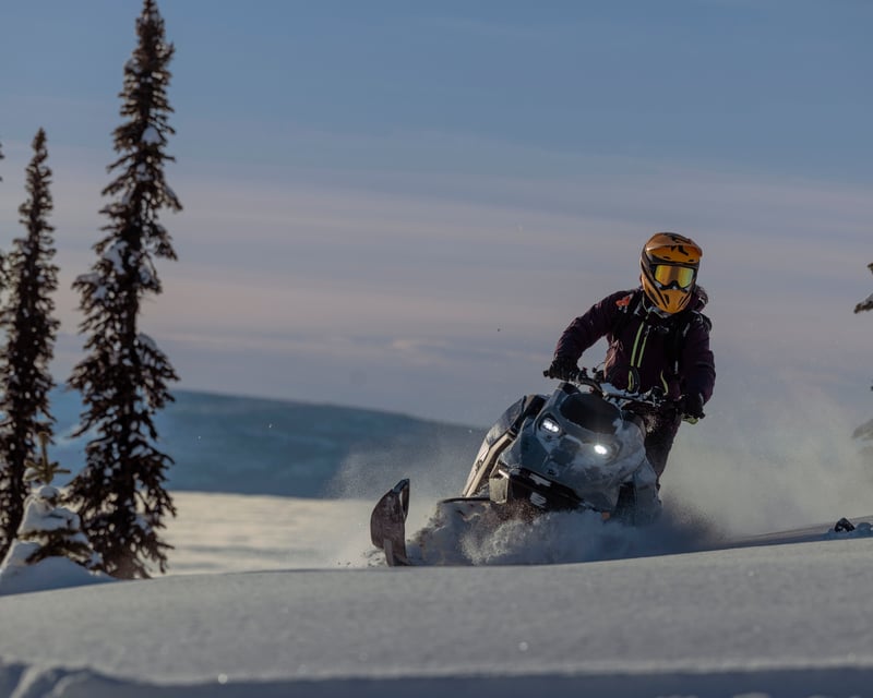 Full-Day Bridger-Teton Snowmobile Rental in Alpine, WY
