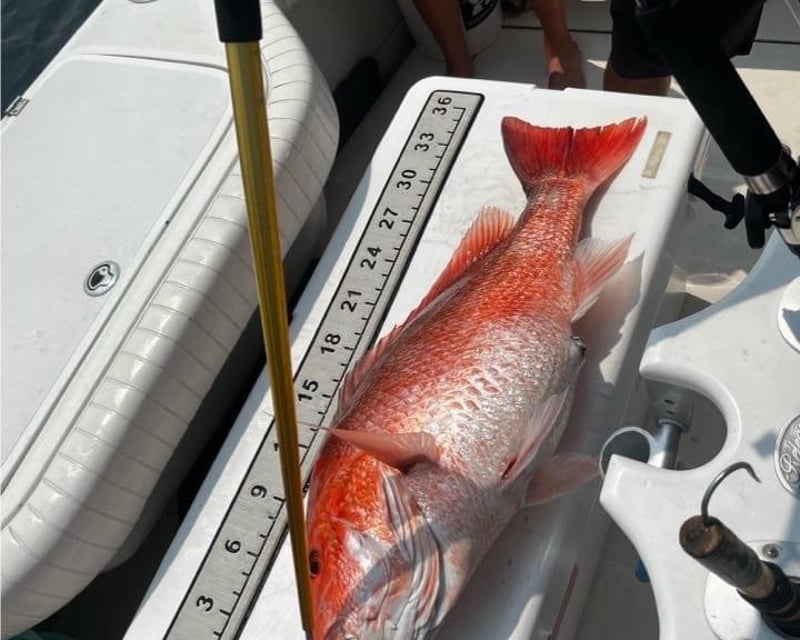 Pensacola Beach 8-Hour Fishing Charter