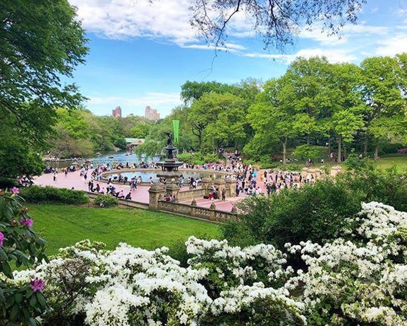 Private Central Park Carriage Ride to Tavern on the Green