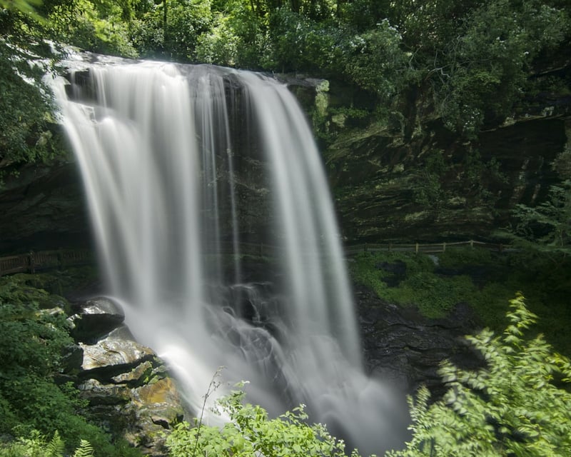 Private Waterfall & Rainforest Tour in Highlands