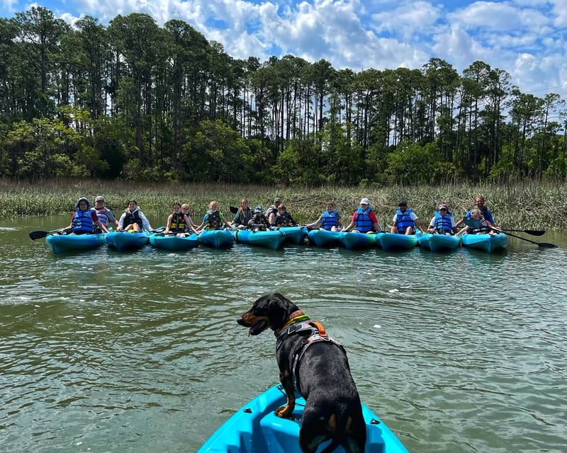 Sunrise Guided Kayak Tour in Hilton Head