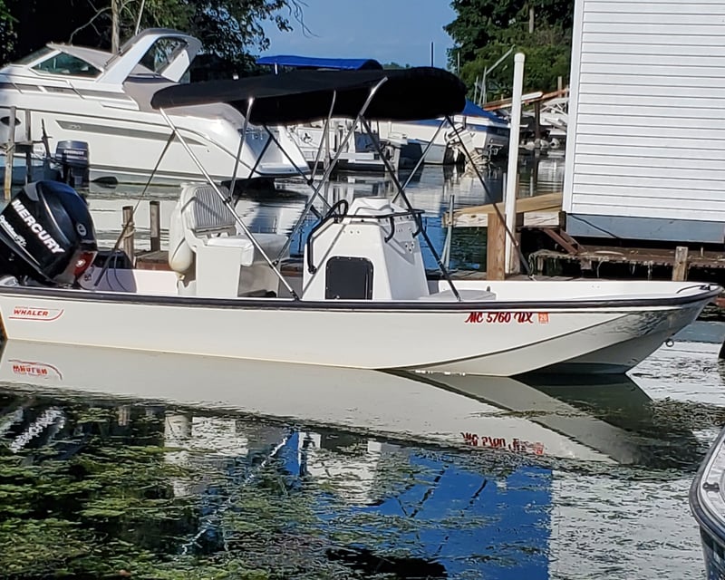 Full-Day 17' Boston Whaler Boat Rental in Grosse Ile