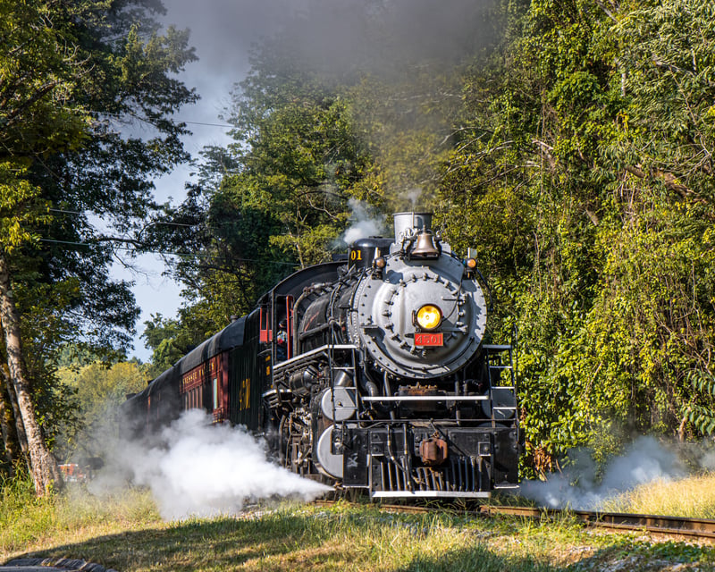 Full-Day Steam Train Ride from Chattanooga to Summerville