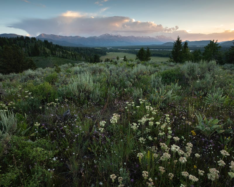 Jackson 4-Hour Guided Hiking Tour