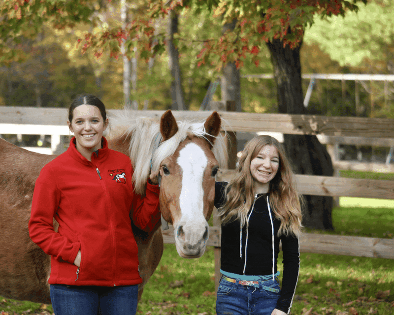 15-Minute Pony Ride in Princeton, MA