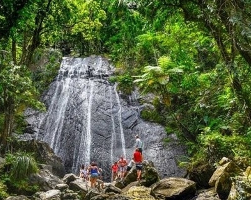 El Yunque National Forest 6-Hour Guided Tour