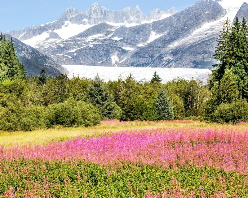 Guided Juneau City Tour With Douglas Island