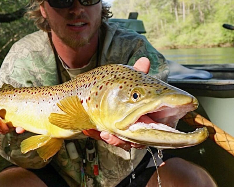 Guided Fishing Trip on Chattahoochee River