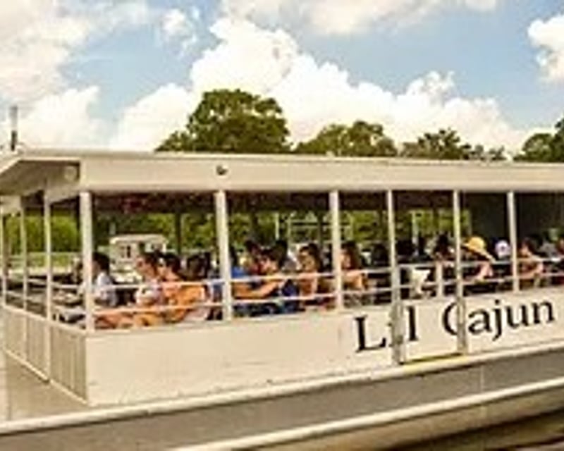 1.5-Hour Swamp Pontoon Tour in Westwego
