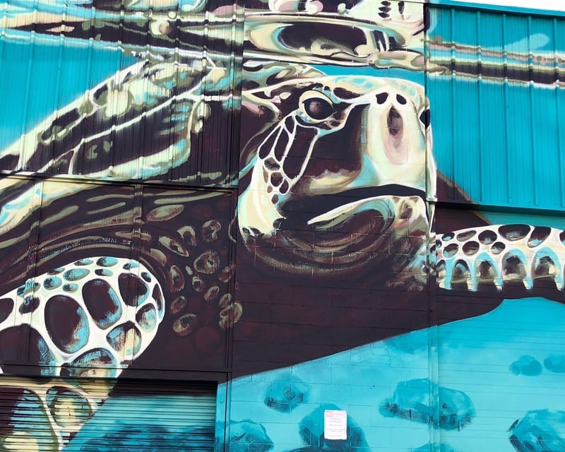 Private Chinatown & Kakaʻako Food & Street Art Tour