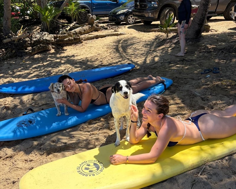 Beginner Group Surf Lesson in Rincón, Puerto Rico