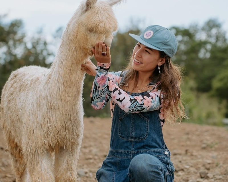 2-Hour Alpaca Picnic Tour in Makawao