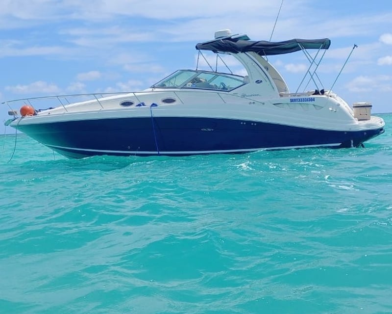 Private Mini Yacht Party Boat Charter in Punta Cana