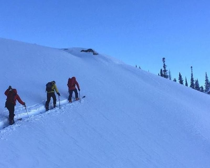 Introductory Backcountry Ski Tour in Cottonwood Canyons
