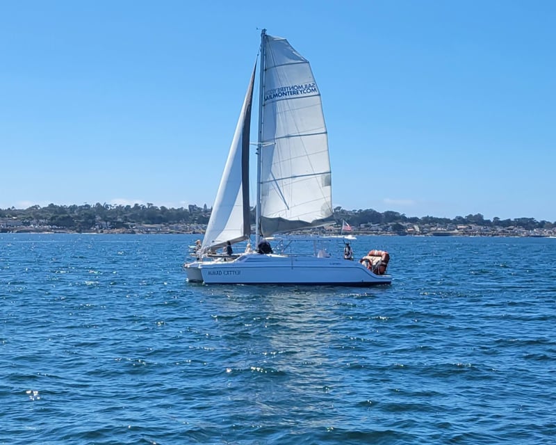 Daytime Catamaran Sailing Cruise